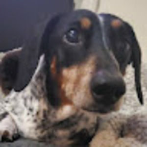 Meet your Posher, Roman